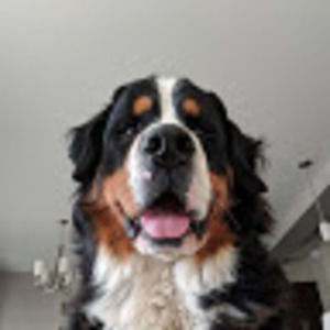 Meet your Posher, Kristy